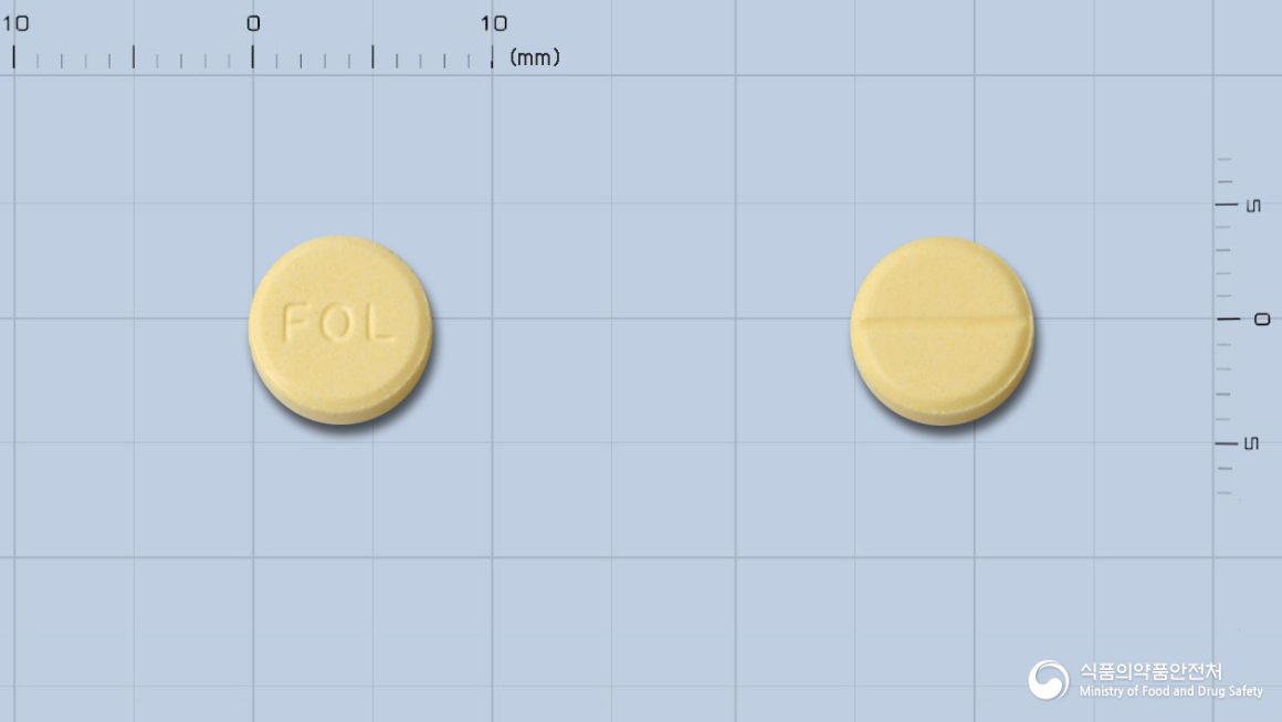 폴시드정(폴산)